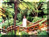 Irma_paradise_walk.jpg (65369 bytes)